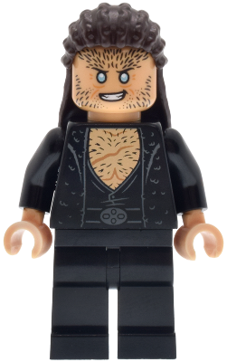 LEGO Fenrir Greyback - Dark Brown Long Hair minifigure hp636