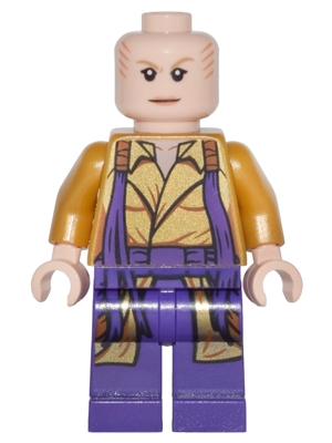 LEGO The Ancient One minifigure