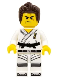 LEGO Warrior - Male, Karate Dress with Black Belt, Dark Brown Hair, Scarred Eye minifigure