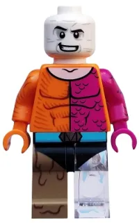 LEGO Metamorpho, DC Super Heroes (Minifigure Only without Stand and Accessories) minifigure