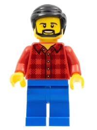 LEGO Flannel Shirt, Blue Legs, Black Hair, Beard minifigure