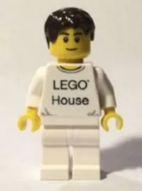 LEGO LEGO House Minifigure minifigure