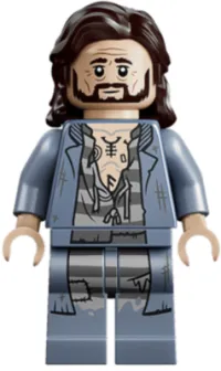LEGO Sirius Black - Dark Brown Hair, Sand Blue Jacket over Tattered Striped Shirt, Printed Legs minifigure