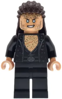 LEGO Fenrir Greyback - Dark Brown Long Hair minifigure