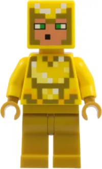 LEGO Undying Protector minifigure