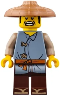 LEGO Ray, Conical Hat minifigure