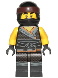 LEGO Cole - Sons of Garmadon minifigure