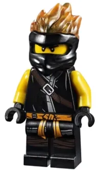 LEGO Cole FS minifigure