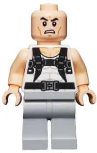 LEGO Rhino minifigure