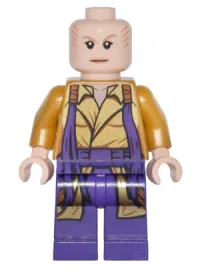 LEGO The Ancient One minifigure