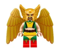 LEGO Hawkgirl minifigure