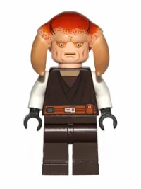 LEGO Saesee Tiin minifigure