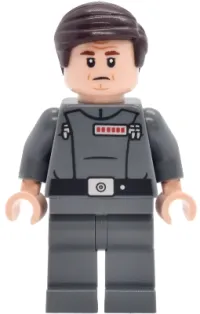 LEGO General Tagge minifigure