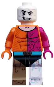 LEGO Metamorpho, DC Super Heroes (Minifigure Only without Stand and Accessories) minifigure