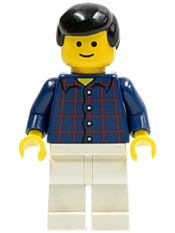 LEGO Plaid Button Shirt, White Legs, Black Male Hair, Standard Grin minifigure