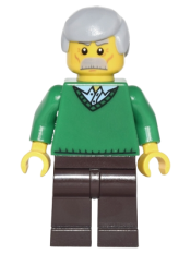 LEGO Green V-Neck Sweater, Dark Brown Legs, Light Bluish Gray Male Hair minifigure