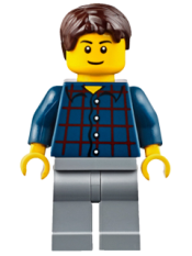 LEGO Plaid Button Shirt, Light Bluish Gray Legs, Dark Brown Short Tousled Hair minifigure