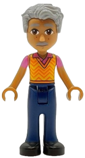 LEGO Friends Raj set