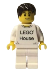 LEGO LEGO House Minifigure minifigure