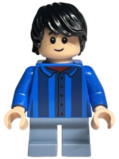 LEGO Albus Severus Potter, Epilogue minifigure