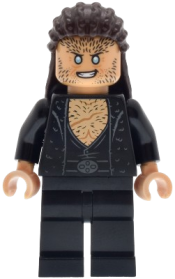 LEGO Fenrir Greyback - Dark Brown Long Hair set