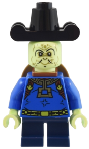 LEGO Turtle Minister minifigure