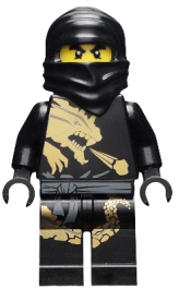 LEGO Cole DX set