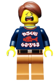 LEGO Henry set