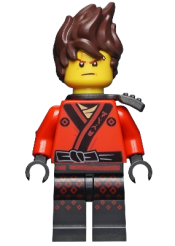 LEGO Kai - The LEGO Ninjago Movie, Hair, Pearl Dark Gray Scabbard set