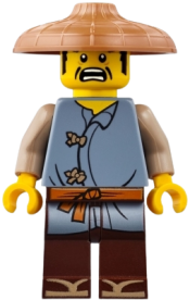 LEGO Ray, Conical Hat set