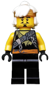 LEGO Wu Teen (Sensei Wu) (Dragon Hunter Disguise) set