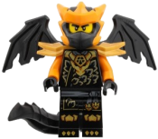 LEGO Cole - Dragon Form set