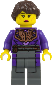 LEGO Elemental Master of Shadow (Dusk) set