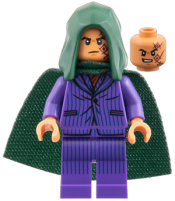 LEGO Monkey D. Dragon set