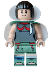 LEGO Zinnia set