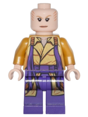 LEGO The Ancient One minifigure