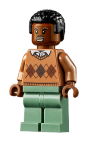 LEGO Robbie Robertson minifigure