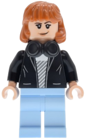 LEGO Robin Buckley set