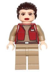 LEGO Padme Amidala - Senator, Large Eyes minifigure