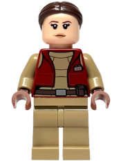 LEGO Padme Amidala - Senator, Nougat Lips (75354) minifigure
