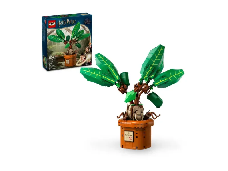 LEGO Mandrake (76433) set and box