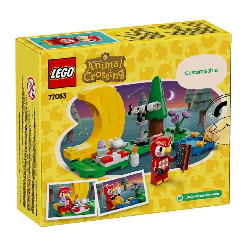 LEGO Animal Crossing Stargazing with Celeste back of box