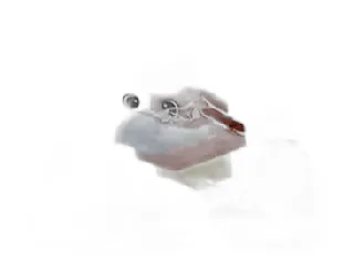 LEGO Chicken Run set