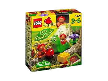 LEGO The Strawberries set