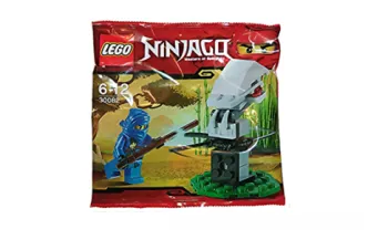LEGO Ninja Training set