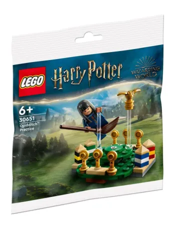 LEGO Quidditch Practice set