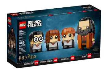 LEGO Harry, Hermione, Ron & Hagrid set