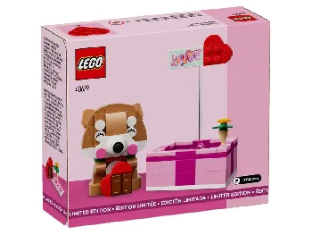 Back of LEGO Love Gift Box set box