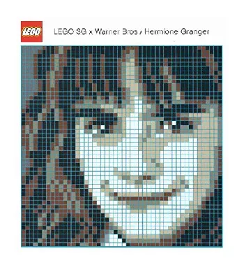 LEGO Hermione Granger Mosaic set