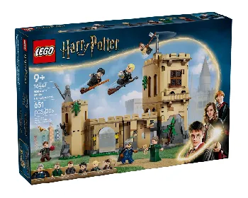 LEGO Hogwarts Castle: Flying Lessons set